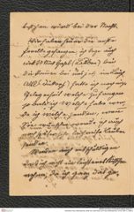 Nachlass Franz Steindachner, Brief von Josef Sturm an Franz Steindachner, Inv.Nr. 526.11, Seite 2